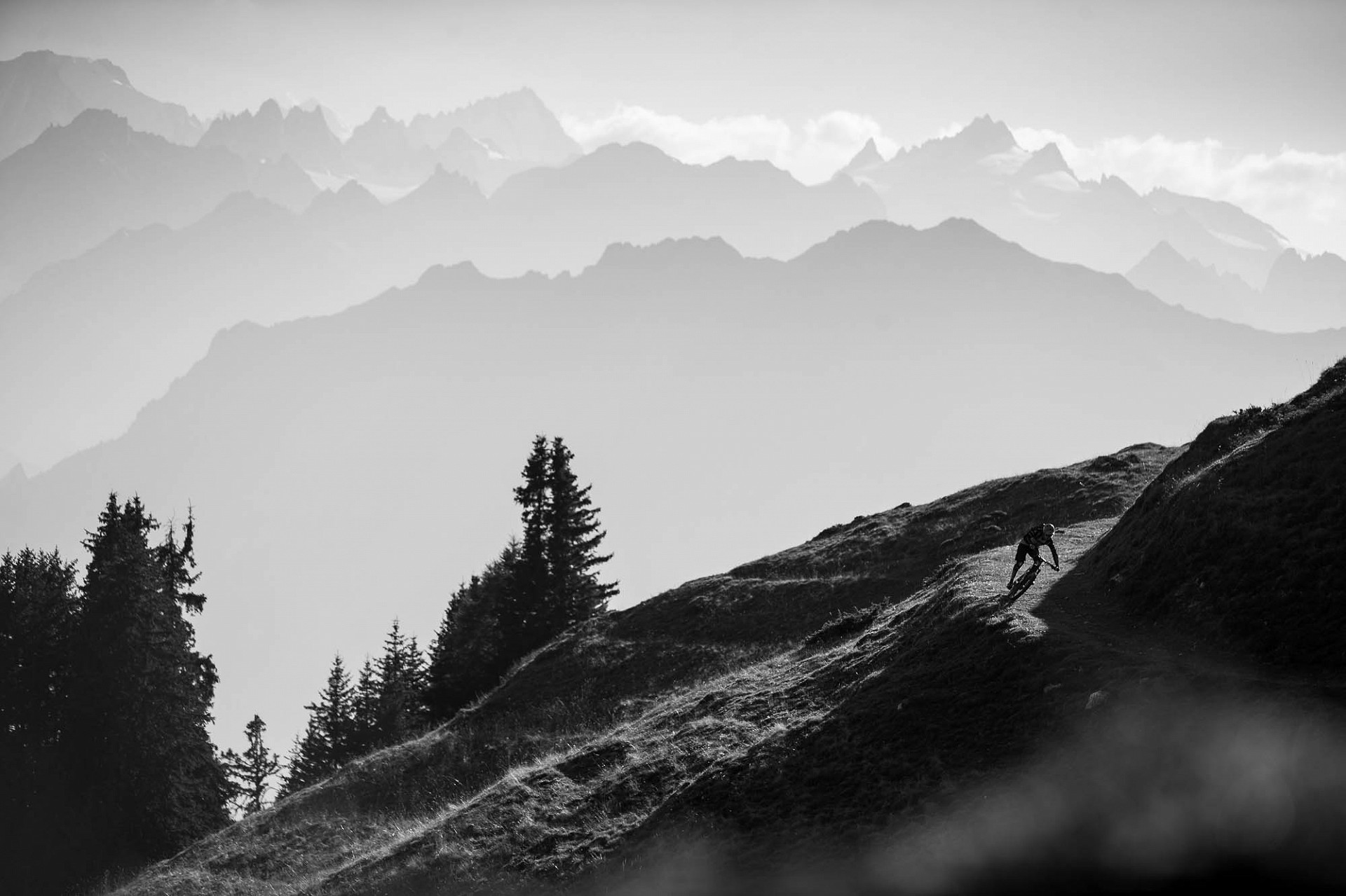 Ludovic May, Verbier